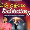 About Sarva Chitthambu Song